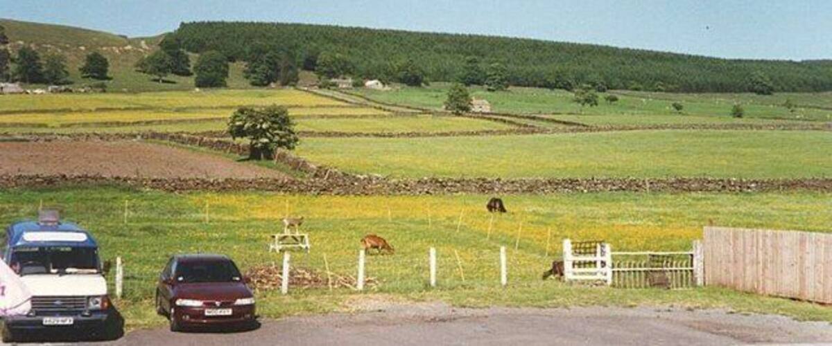 A rural landscape with fields, a fence, and parked cars.