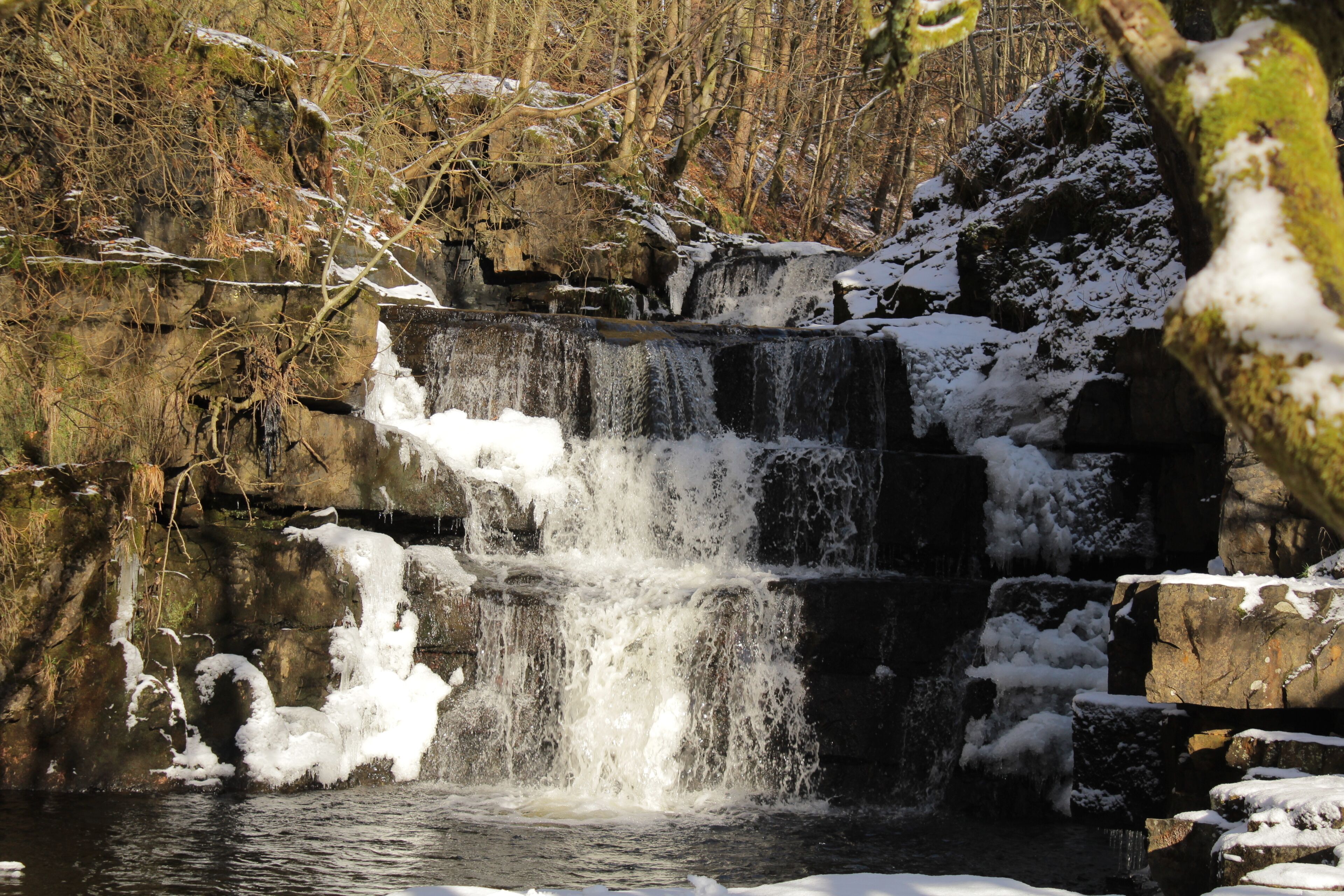 Bowlees in winter