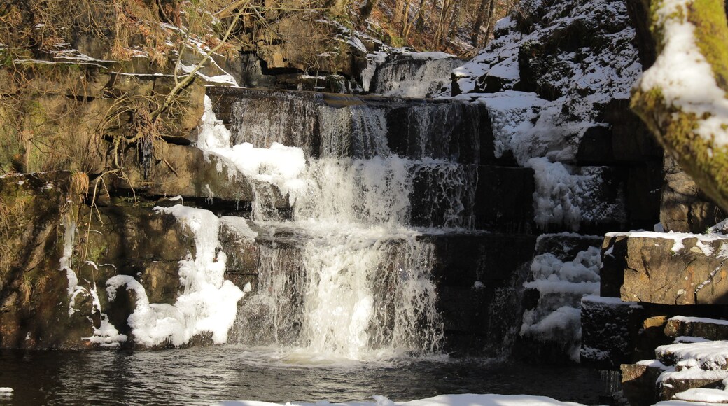 Bowlees in winter