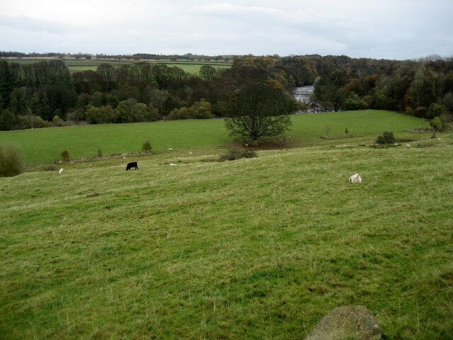 Tees Valley from Mortham As seen from the Teesdale Way, looking north east, as walkers proceed from Mortham Tower towards Whorlton Bridge.