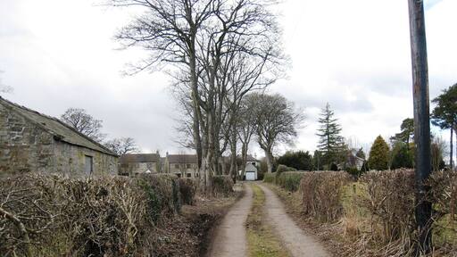 Mire Lane This photograph shows a view of Mire Lane as it approaches the B6277 minor road in Cotherstone. The picture was taken looking in a westerly direction towards Scalehow Rigg.