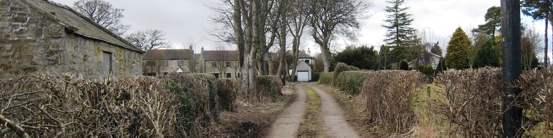 Mire Lane This photograph shows a view of Mire Lane as it approaches the B6277 minor road in Cotherstone. The picture was taken looking in a westerly direction towards Scalehow Rigg.