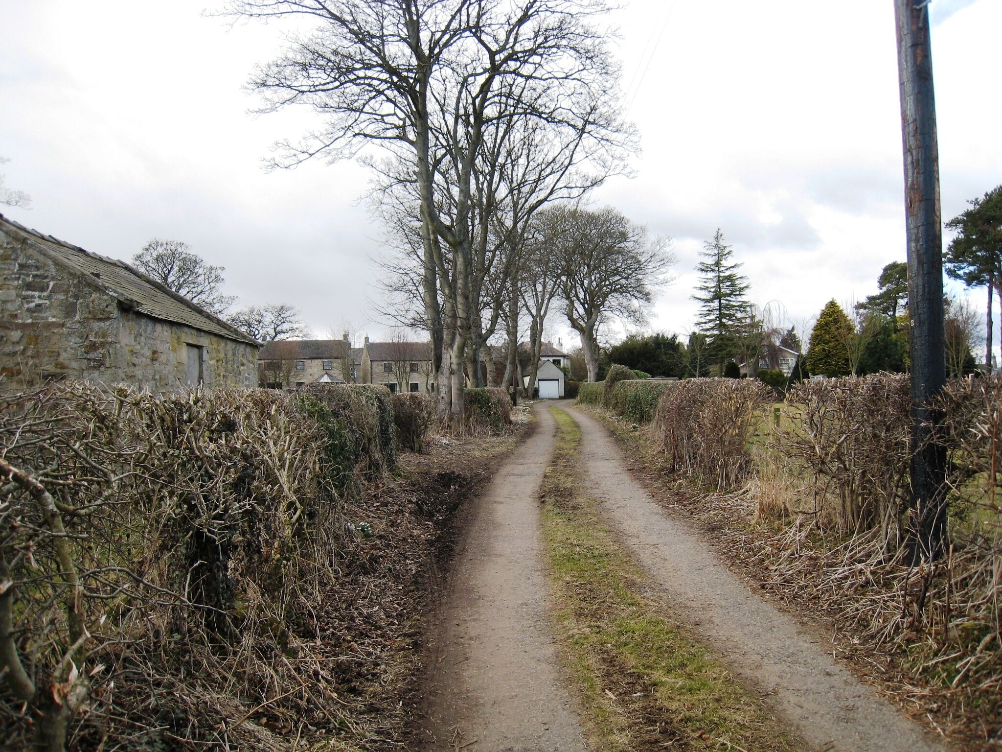 A narrow rural road flanked by stone walls and leafless trees, leading to a white building with a dark roof.
