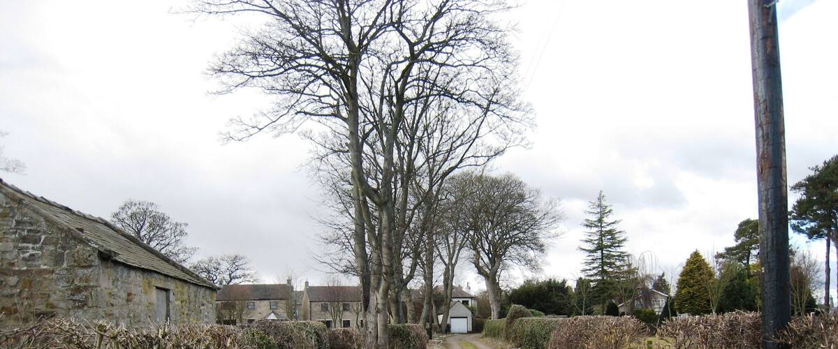 A narrow rural road flanked by stone walls and leafless trees, leading to a white building with a dark roof.