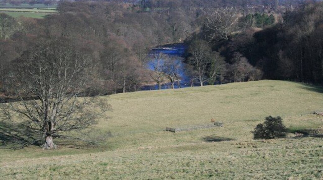 River Tees From Mortham