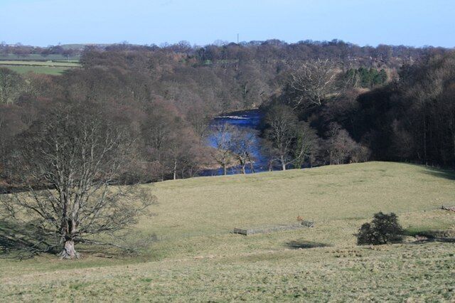A grassy hill with a blue lake and trees in the background.