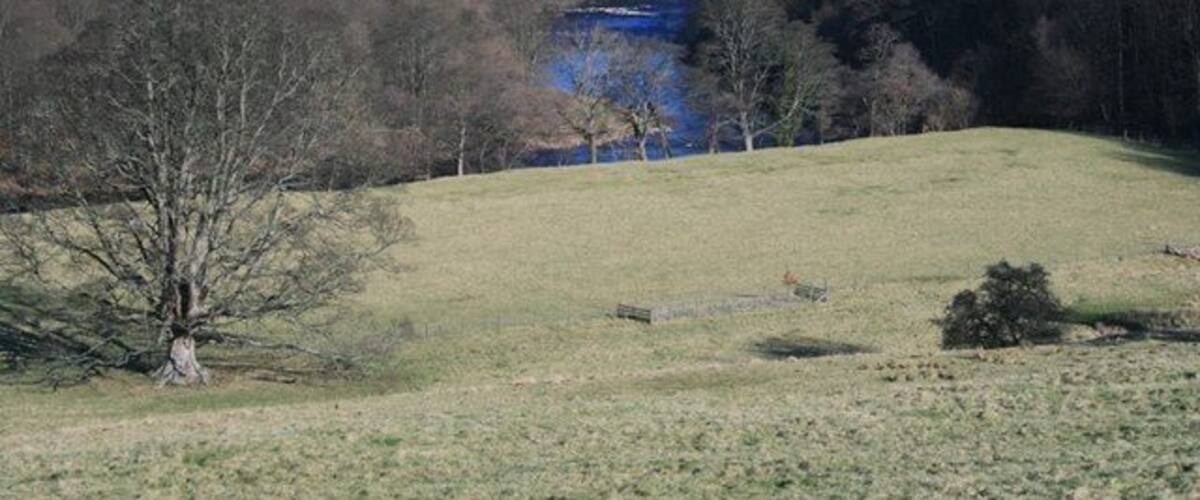 A grassy hill with a blue lake and trees in the background.