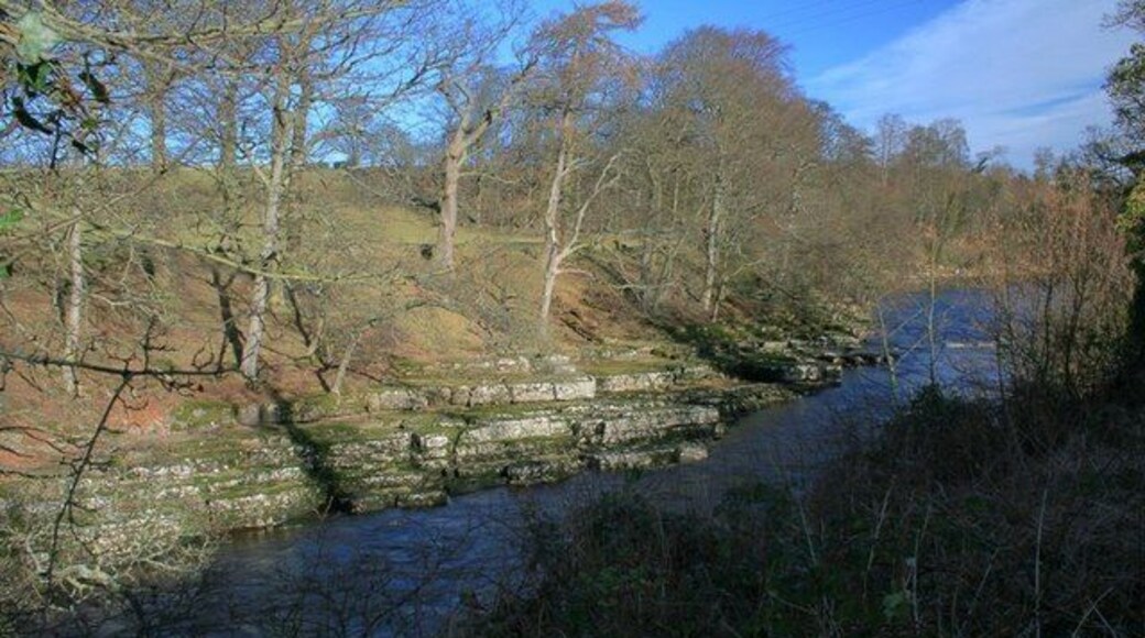 River Tees Looking downstream.