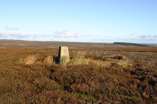 Eggleston Moor trig. Looking N
