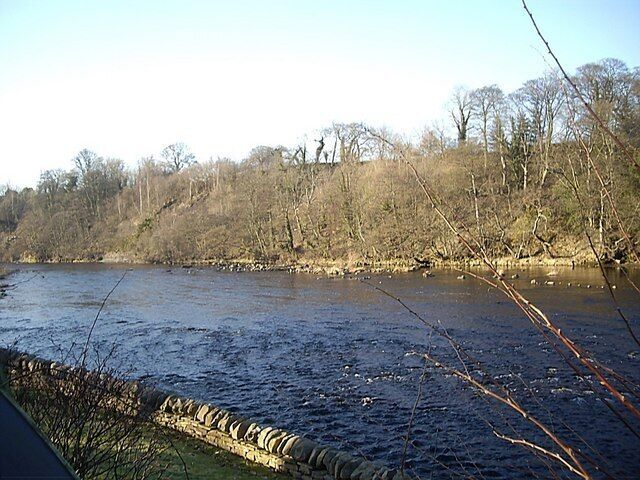 Upstream River Tees From St Mary's Wycliffe churchyard.