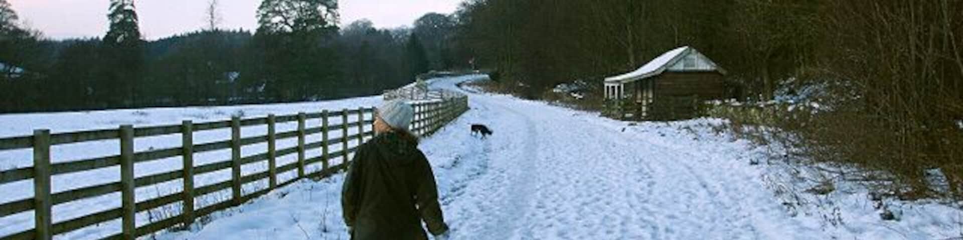 Footpath to Eggleston Bridge The Teesdale way from Cotherstone to Eggleston drops down the steep and wooded north bank of the Tees just above the outflow from the tunnel built to bring water from Kielder water to the Tees. This track is the service road for that engineering white elephant, now rarely used as demand for water from Teesside industry has all but vanished, and the Kielder water is such a different pH from that of the Tees that it is environmentally unacceptable to move water through the tunnel. There is a small annual release through the tunnel each winter (when river levels are high and the addition is well diluted) just to keep the water in the tunnel fresh.