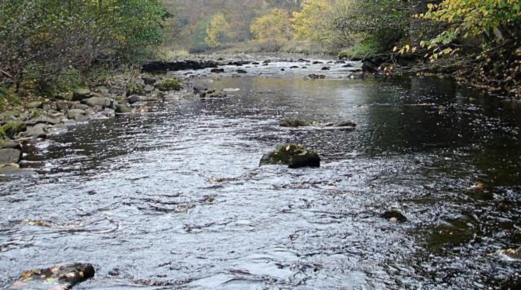 Greta Bridge (A66). In contrast to the elegant and much painted old bridge 67609, themodern A66 dual carriageway crosses the River Greta a short way downstream, and carries a constant stream of noisy traffic, giving only the barest glimpse of the river from the slow lane (just enough for a canoeist in the passenger seat to get a quick estimate of the level). The river level as seen here is way too low for paddling, as this is an exciting river that needs a lot of recent rain to bring it to life.
