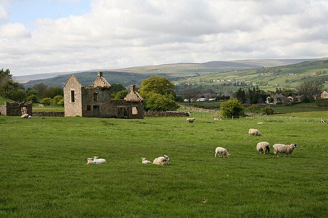 Derelict farm buildings Sheep grazing next to a derelict farm near Mickleton.