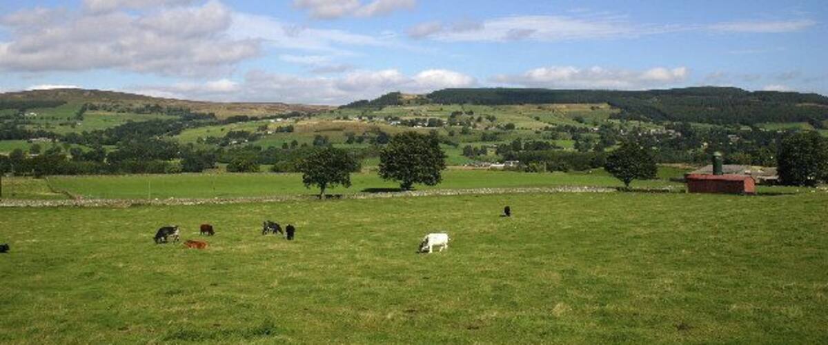 A green field with cows grazing, a red building, and rolling hills in the background.