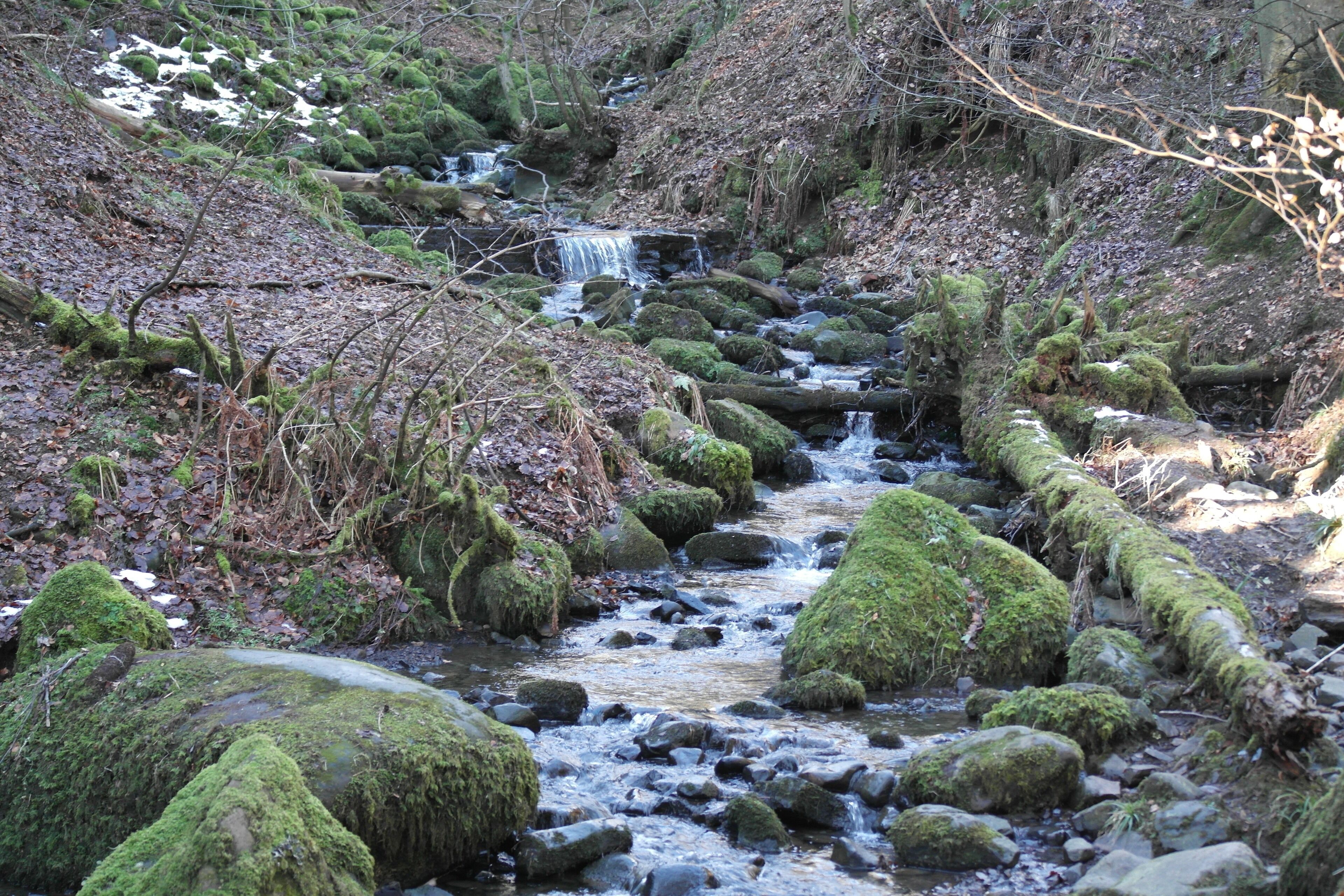 On the way to high force