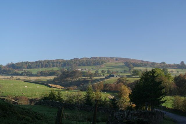 Knotts View looking across Eggleston Burn towards Knotts. Laverock Hall is visible beneath Knotts Plantation.