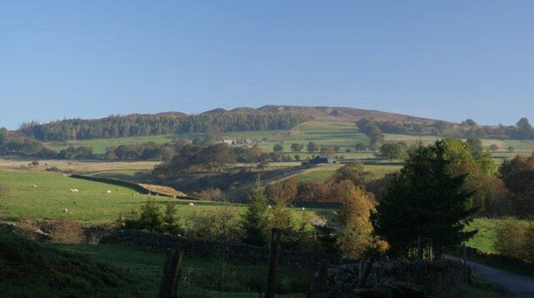 Knotts View looking across Eggleston Burn towards Knotts. Laverock Hall is visible beneath Knotts Plantation.