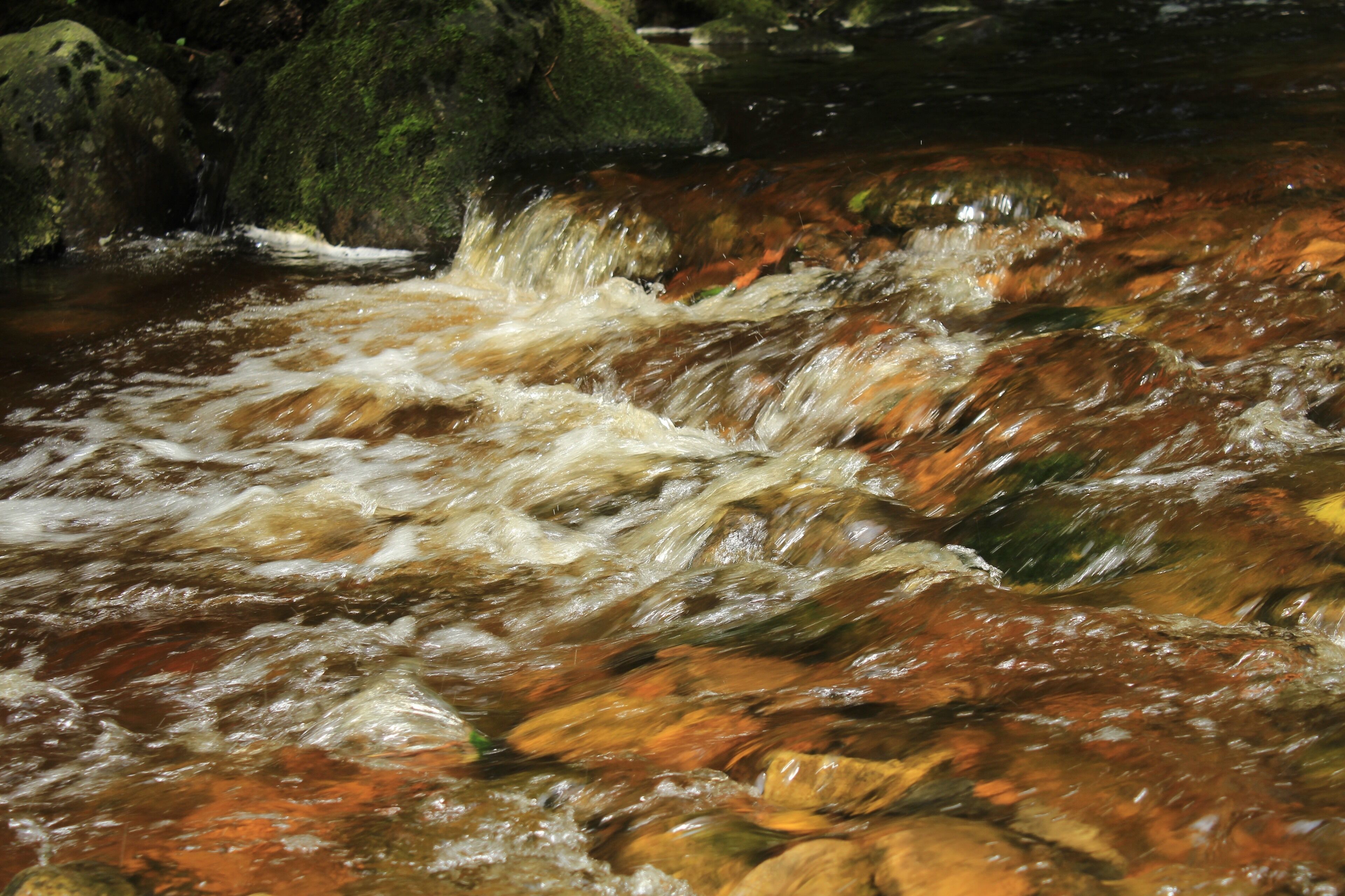Lovely walk down by the river