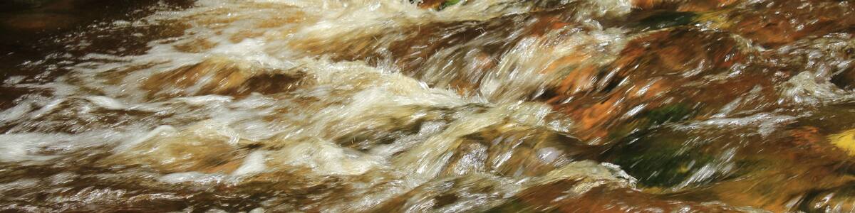 Ein schnell fließender Fluss mit klarem Wasser, umgeben von Felsen und Moos.