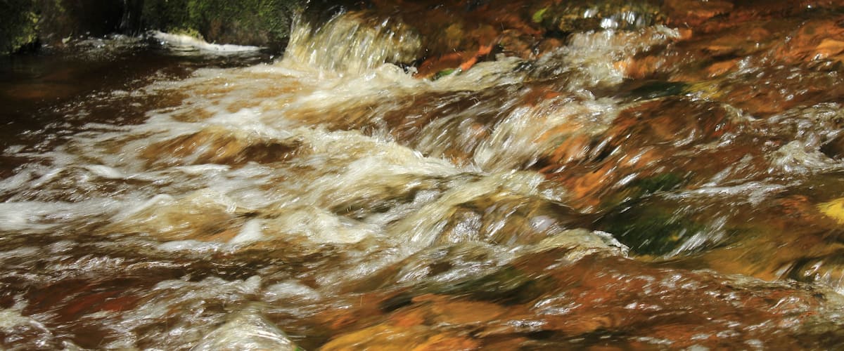 A fast-flowing river with clear water, surrounded by rocks and moss.