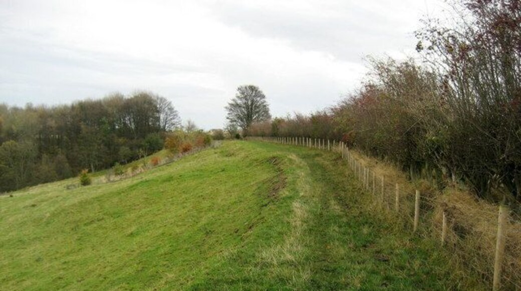 Teesdale Way East of Mortham Tower A fine promenade on a shelf above the Tees Valley, gives walkers excellent views of the surrounding area.