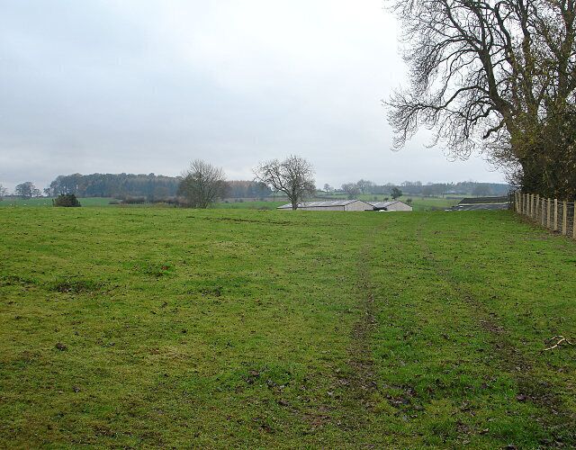 Tutta Beck Farm from Jack Wood Jack Wood occupies the steep slopes either side of Tutta Beck and contains an inordinate number of pheasants. From its western end, a gate leads into pasture surrounding Tutta Beck Farm at the south side of which lie these large modern barns.