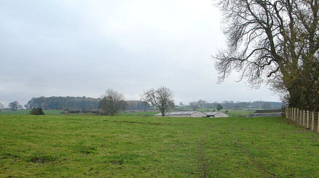 Tutta Beck Farm from Jack Wood Jack Wood occupies the steep slopes either side of Tutta Beck and contains an inordinate number of pheasants. From its western end, a gate leads into pasture surrounding Tutta Beck Farm at the south side of which lie these large modern barns.