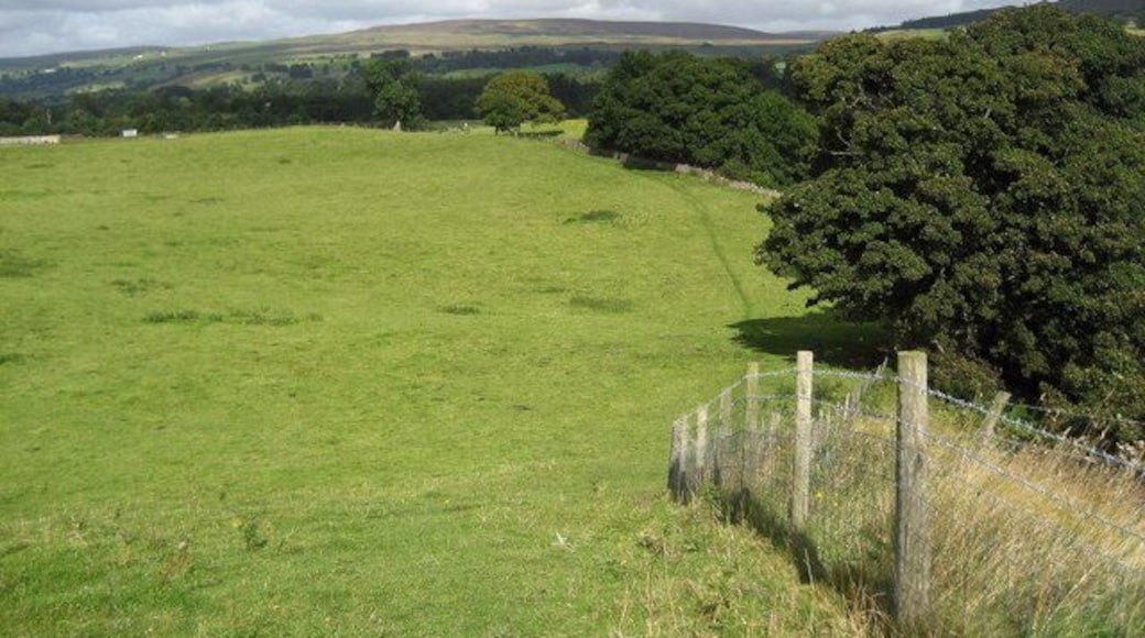 On Hewcroft Hill The Teesdale Way can be seen heading northwards over pasture towards Eggleston Bridge.