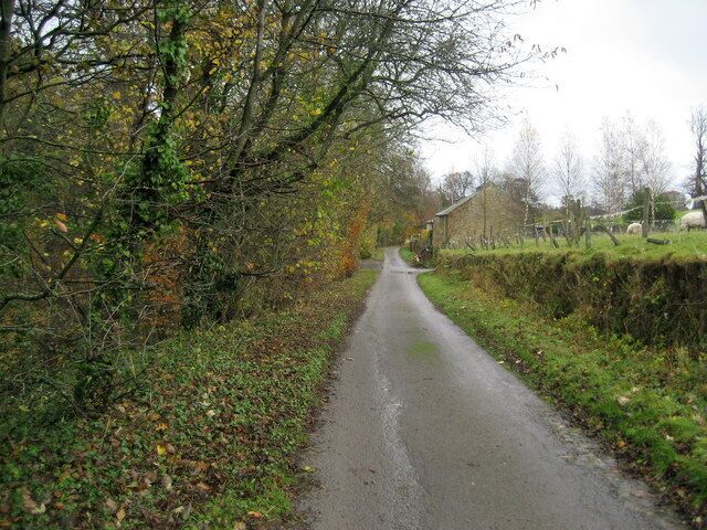 Access Lane by Tees View Approaching a dwelling called Tees View. The access road continues on to cross the River Greta and climbs to Mortham Tower.