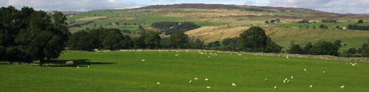 The View to Monk's Moor. As seen from the disused railway track bed between Romaldkirk and Middleton-in-Teesdale, this superb view towards Monk's Moor which sits above Middleton.
