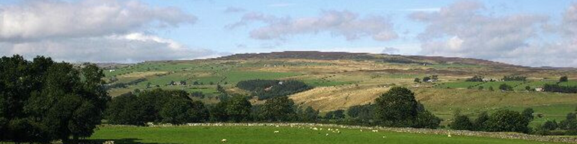 The View to Monk's Moor. As seen from the disused railway track bed between Romaldkirk and Middleton-in-Teesdale, this superb view towards Monk's Moor which sits above Middleton.