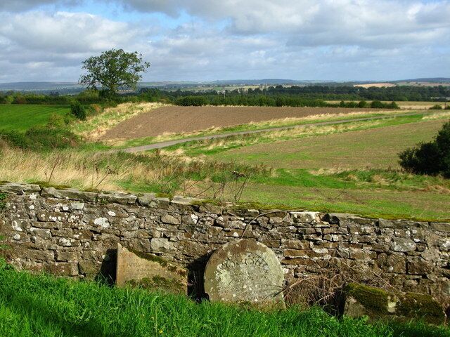 St Mary's Brignall View from the churchyard across Teesdale towards Barnard Castle.