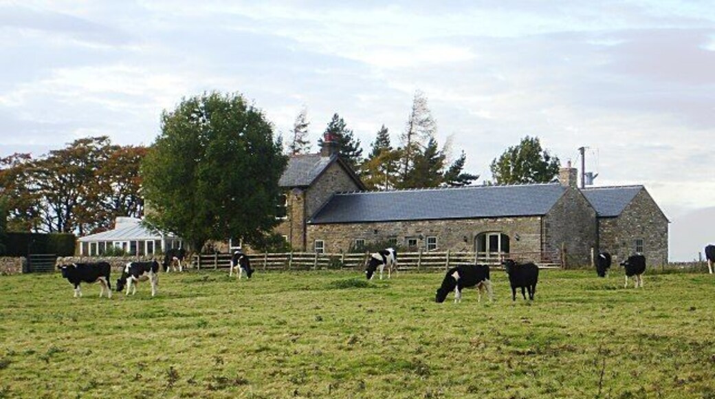 Low Field Farm The footpath from Rutherford to Bowes passes below this farmhouse shortly before becoming a lot harder to follow to the west.
