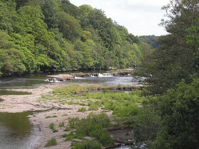 Falls on the River Tees Seen from Whorlton Bridge.