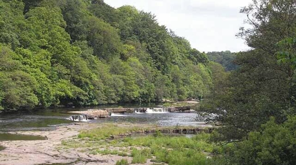 Falls on the River Tees Seen from Whorlton Bridge.