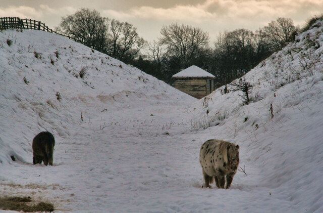 Tees Valley Railway A cutting on the dismantled Tees Valley Railway at Romaldkirk.