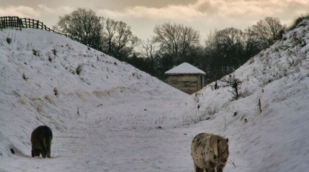 Tees Valley Railway A cutting on the dismantled Tees Valley Railway at Romaldkirk.