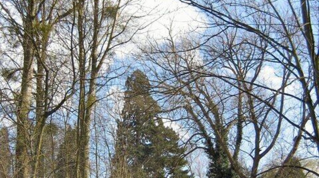 Barnwood Park View of bridge crossing over from the formal park to the local Nature Reserve.