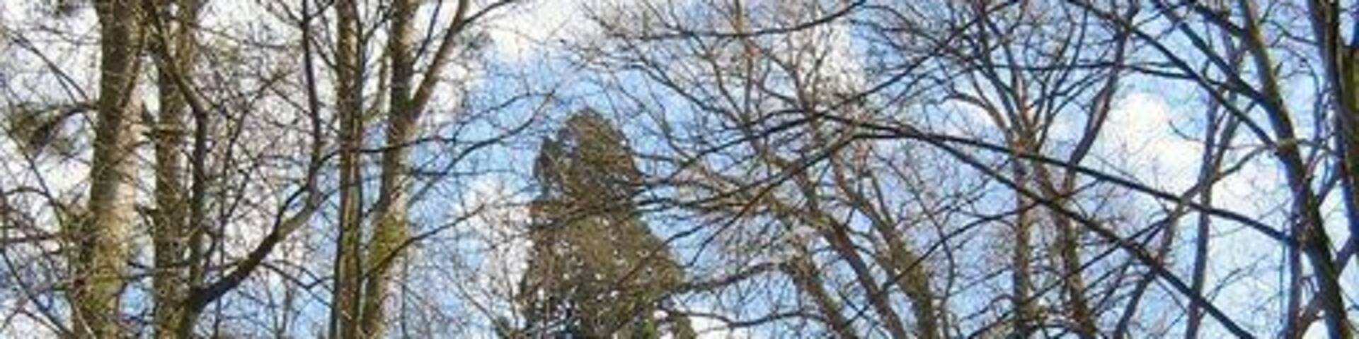 Barnwood Park View of bridge crossing over from the formal park to the local Nature Reserve.