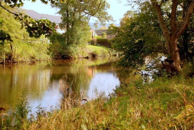 Above the weir The water is artificially deep here as a weir crosses the river 100 metres further down.