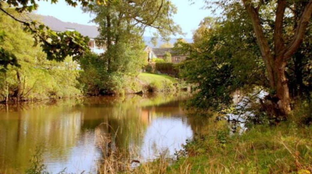 Above the weir The water is artificially deep here as a weir crosses the river 100 metres further down.