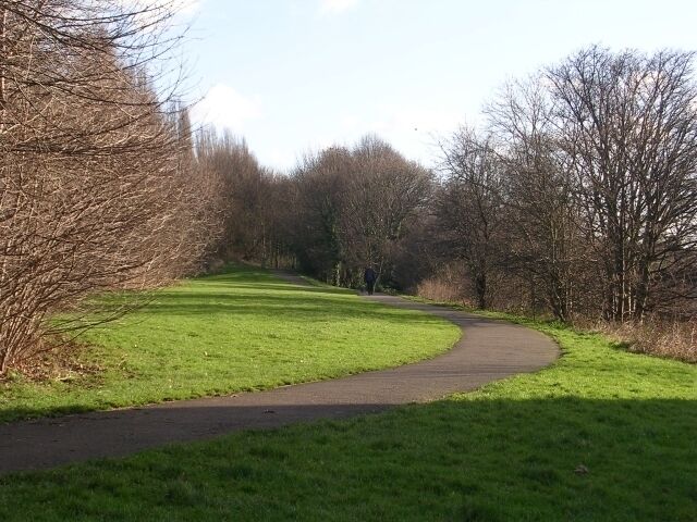 Un sendero curvo en un parque con césped verde y árboles sin hojas.