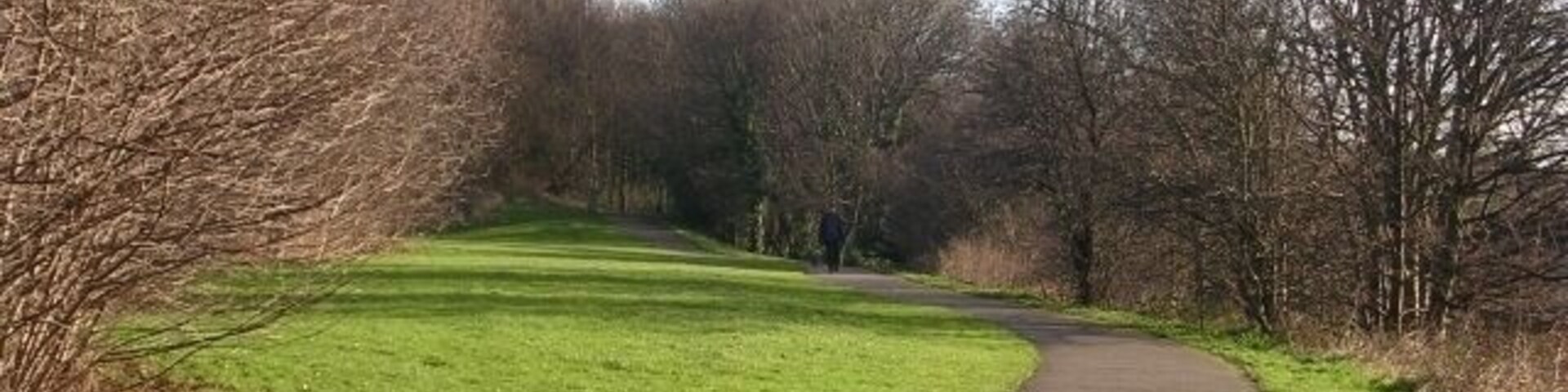 Un sendero curvo en un parque con césped verde y árboles sin hojas.