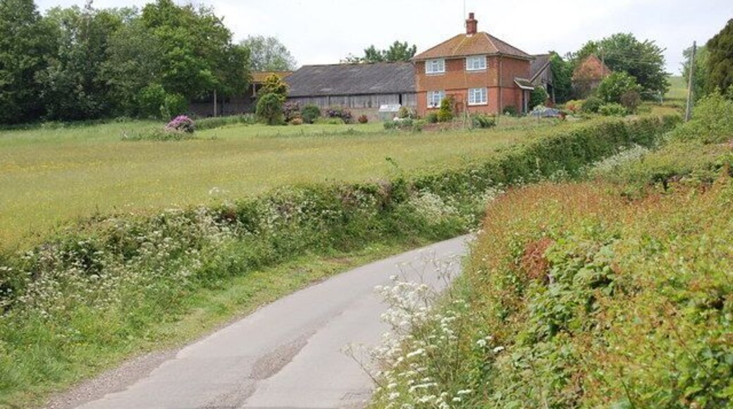 Lingham's Farm, near Ashburnham