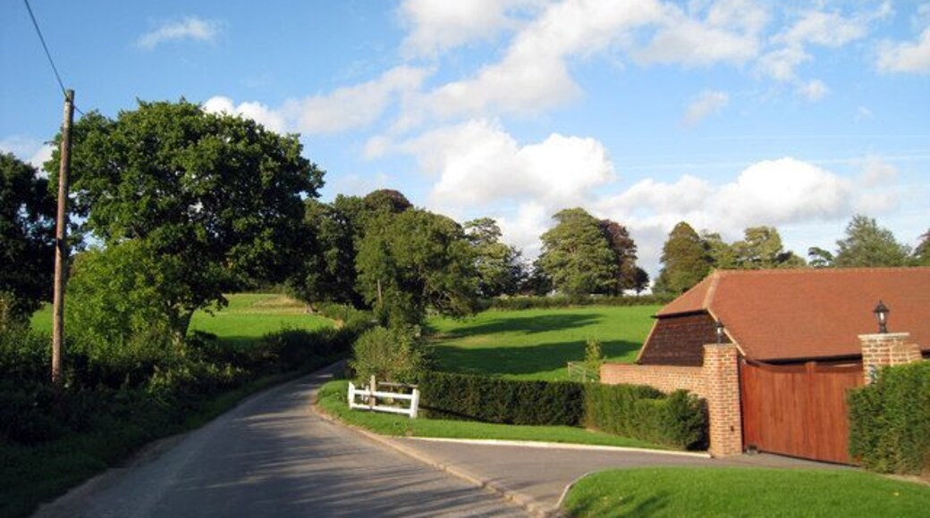 Brede Lane, Sedlescombe, East Sussex