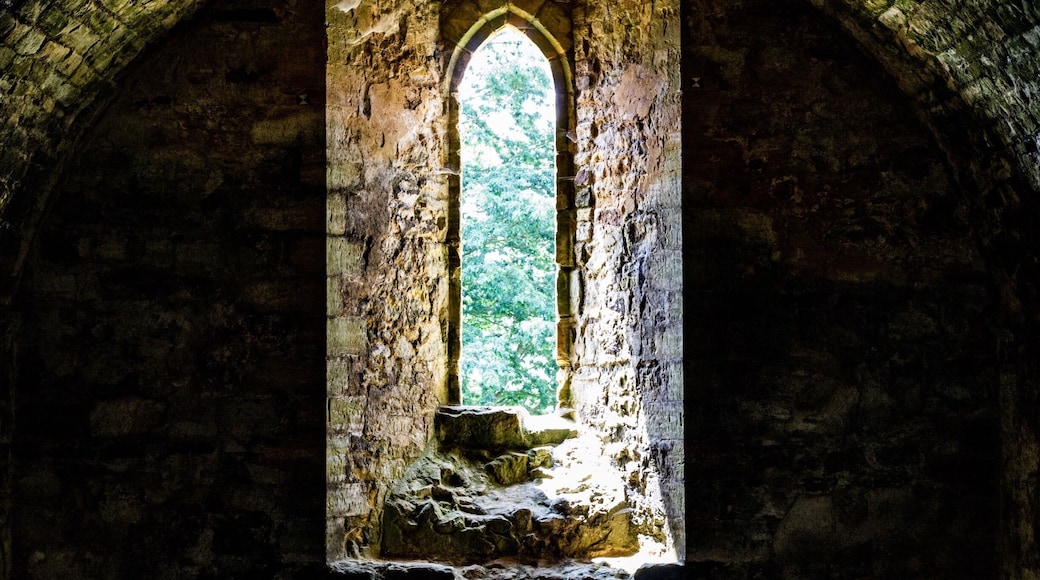 Window looking out from the vaults below the guest house at Battle Abbey.