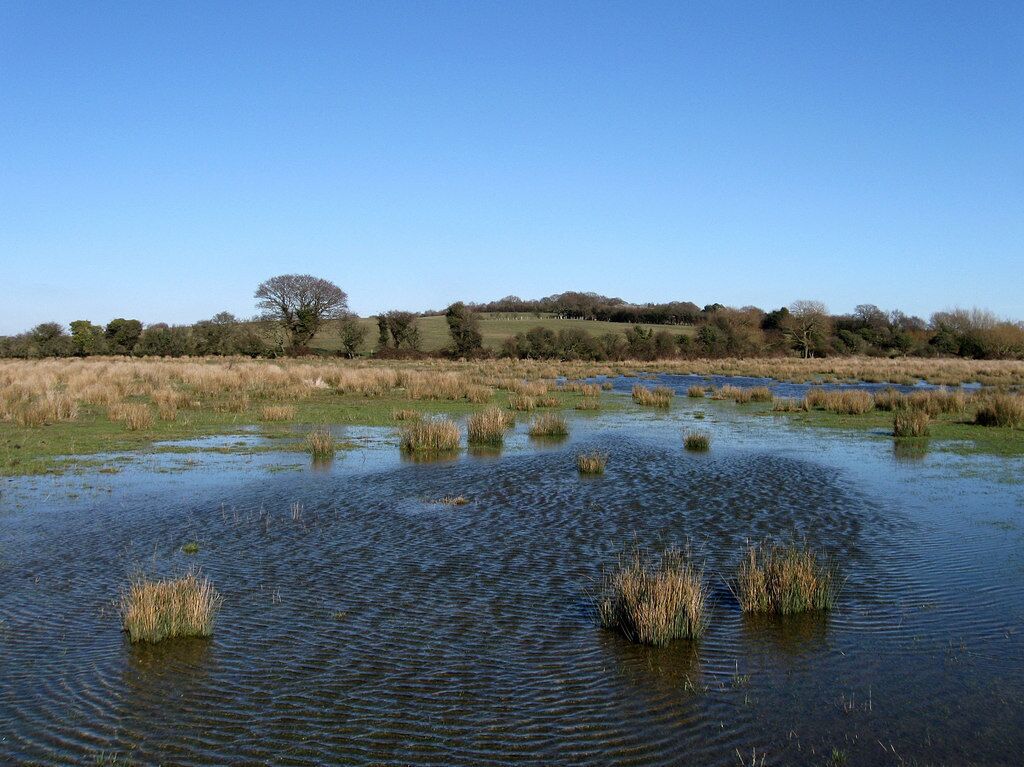 Totts Marsh The name of the field according to the 1843 tithe map and part of Hooe Level. The ripples on the water give a good indication of the direction of the wind.