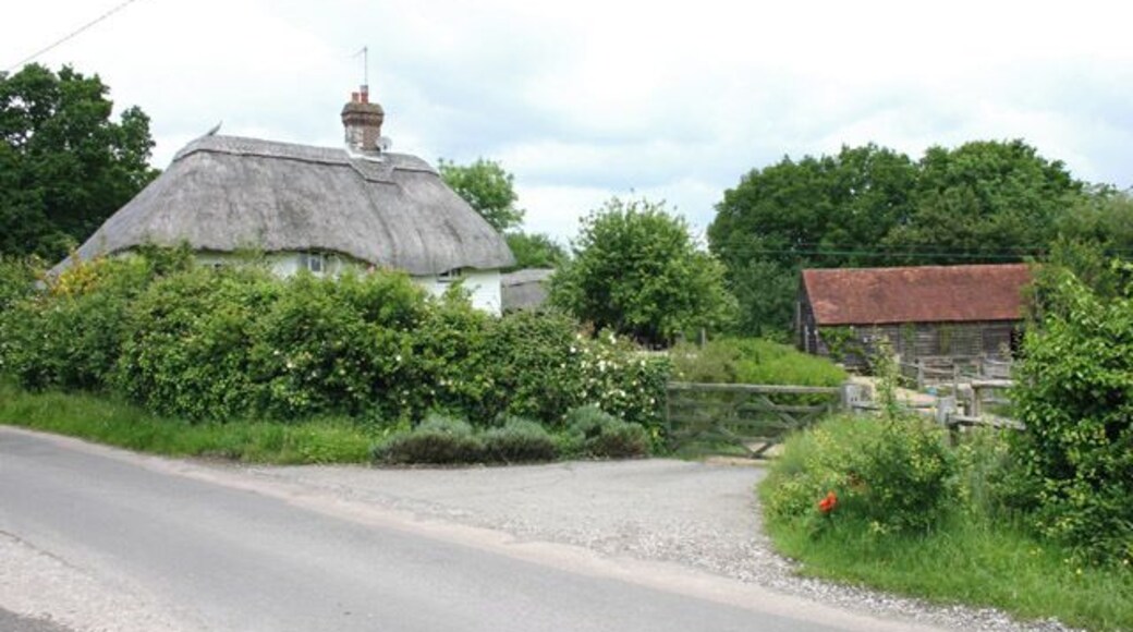 Thatched cottage and outbuilding