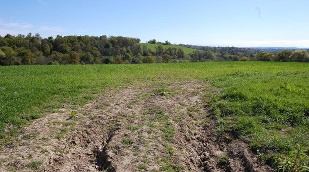 Land off Penhurst Lane