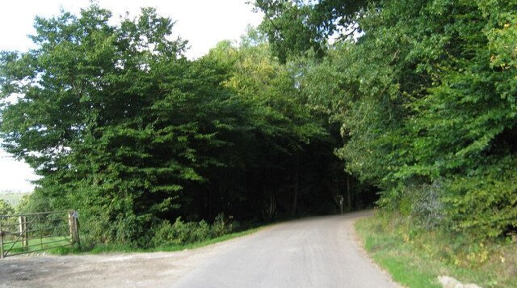 Hurst Lane, Sedlescombe, East Sussex